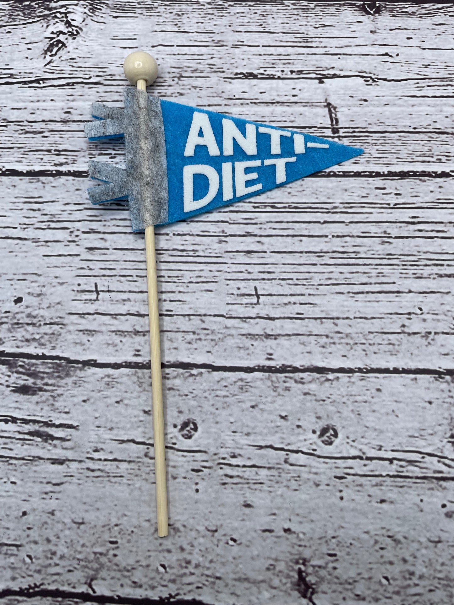 Anti-Diet Mini Pennant